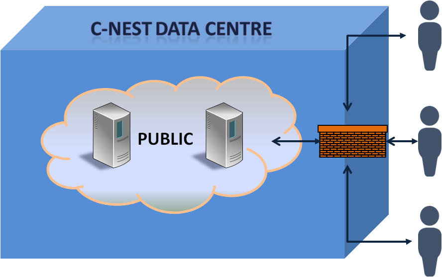 Public Cloud Image C-NEST