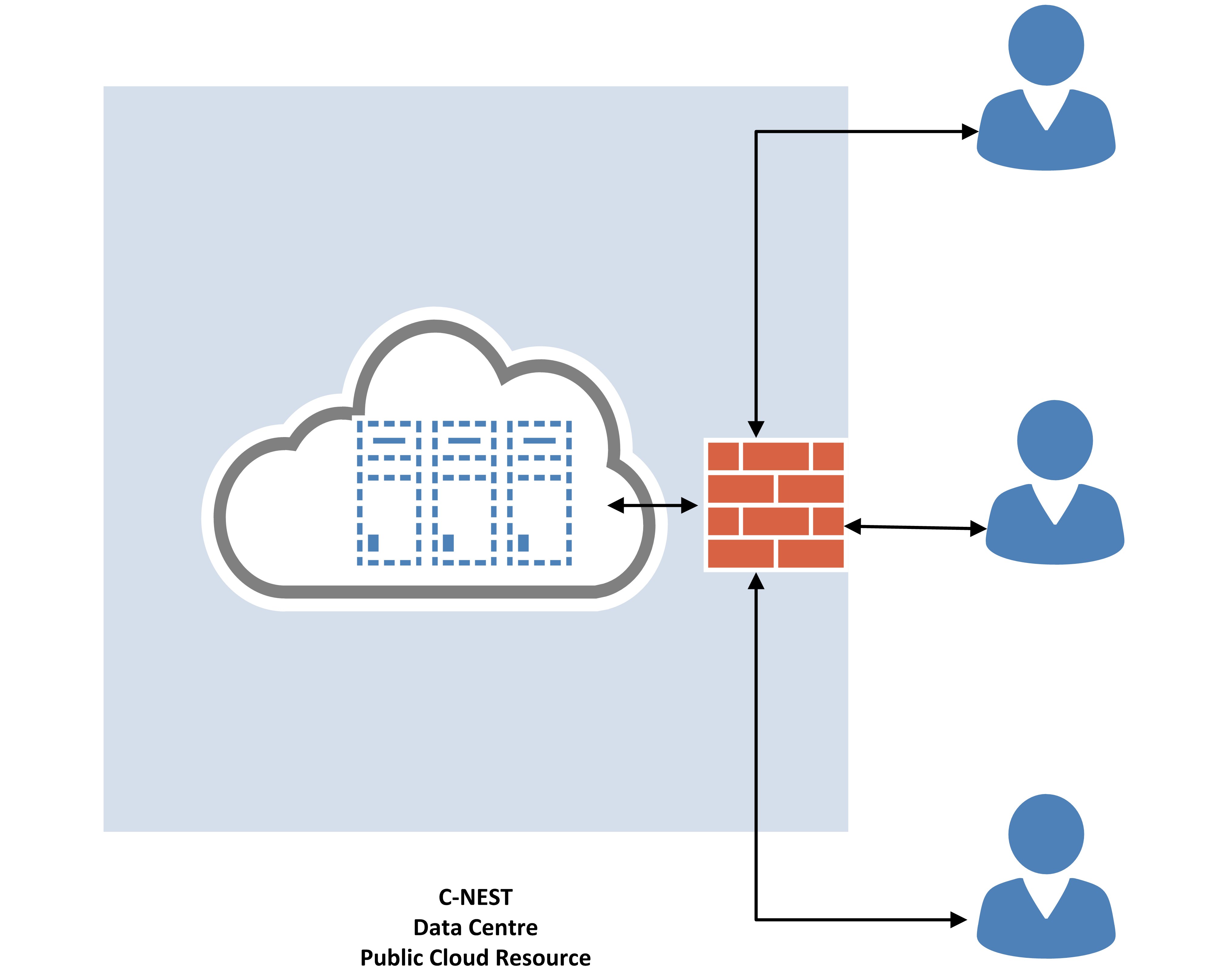 C-NEST Public Cloud Image